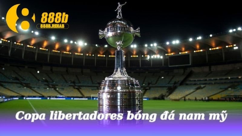 copa-libertadores-bong-da-nam-my