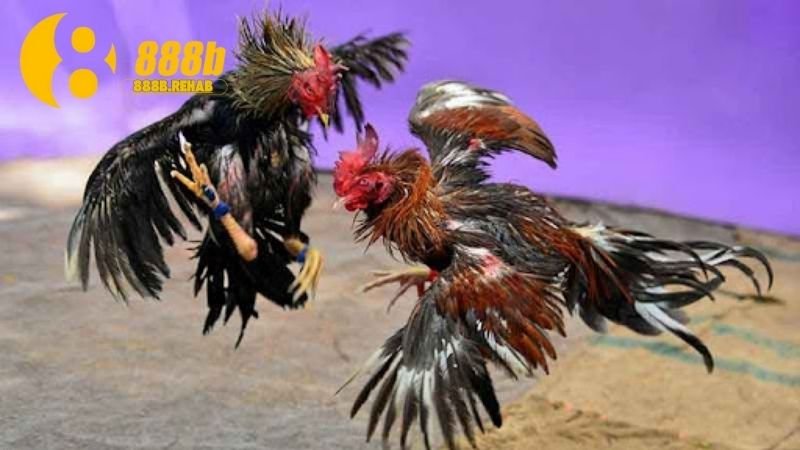 tu-truyen-thong-den-hien-dai