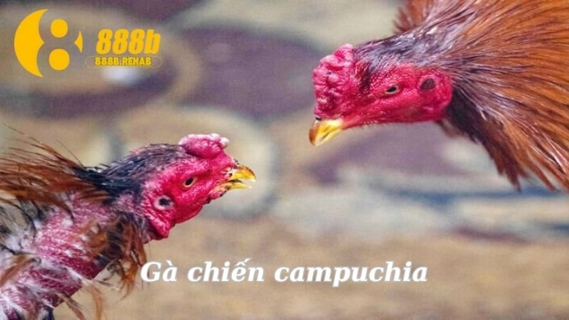 ga-chien-campuchia
