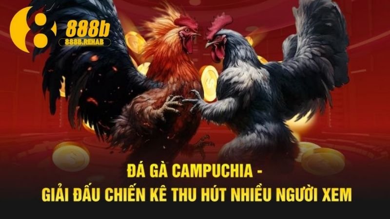 ky-thuat-huan-luyen
