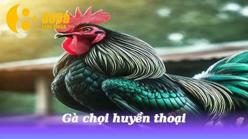 ga-choi-huyen-thoai